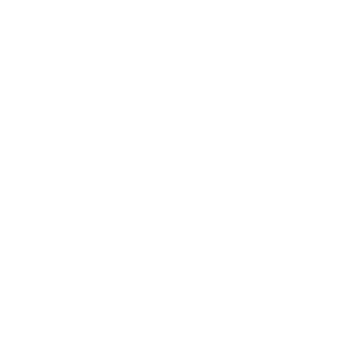 SEO - Shlok Talepa - White