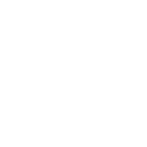 Website design & SEO - Shlok Talepa - White